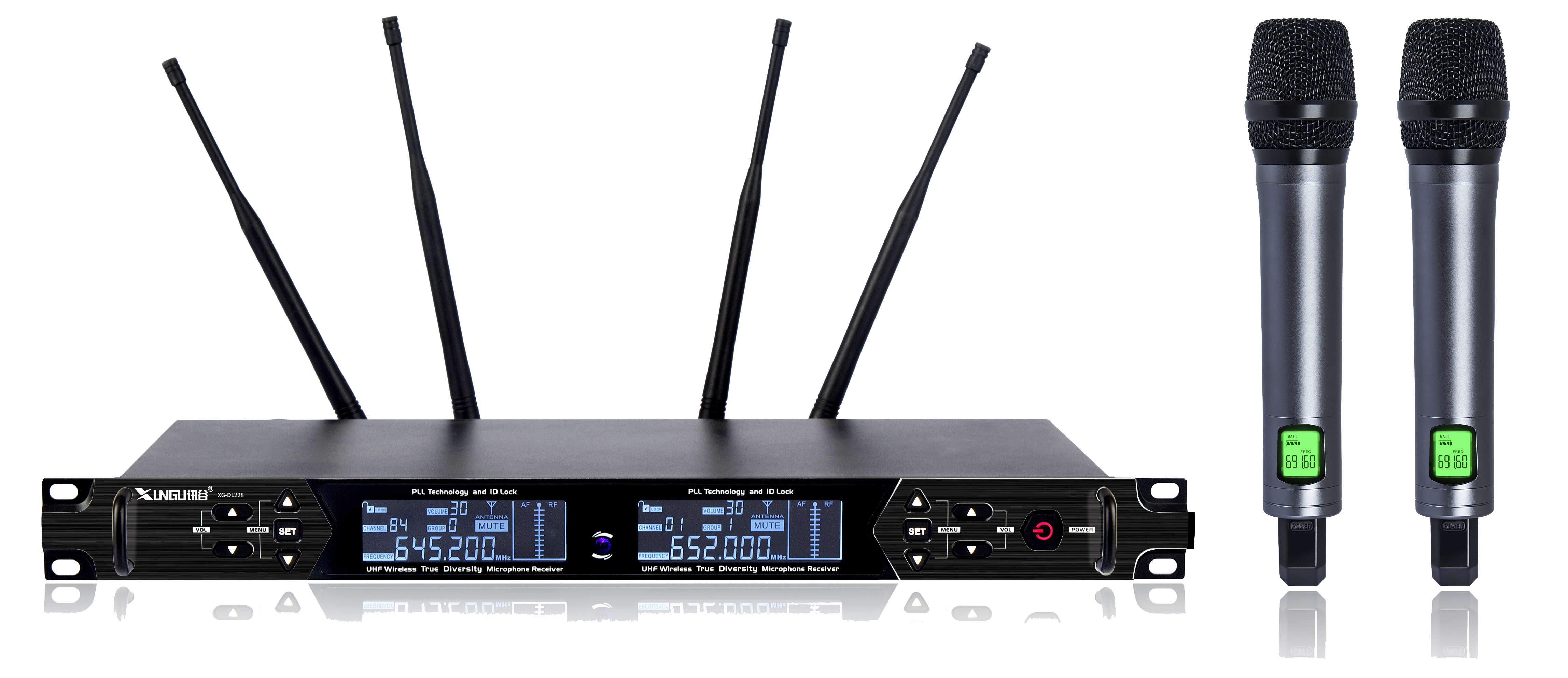 UHF Wireless Dual-Channel Karaoke Microphone System | 200 Channels